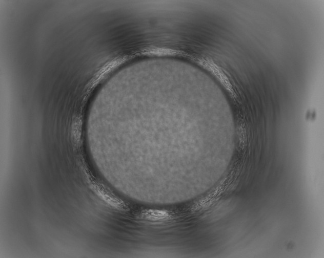 X0000094820159200712141652