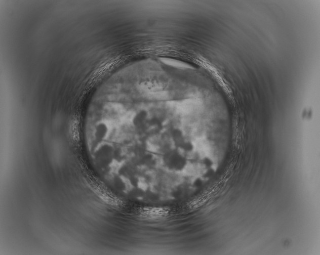 X0000094820161200712141652