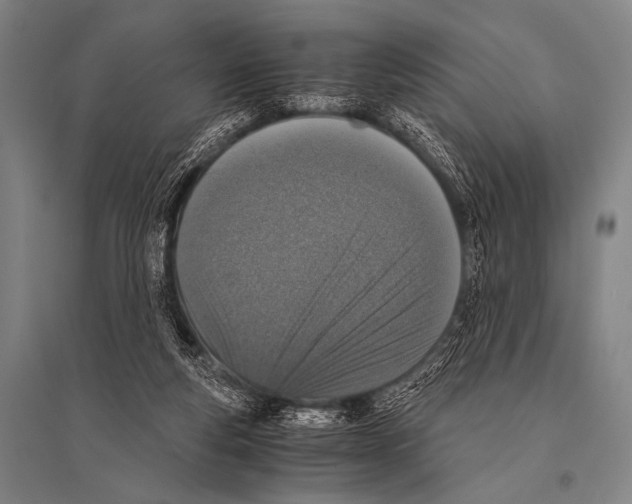 X0000094820163200712141652