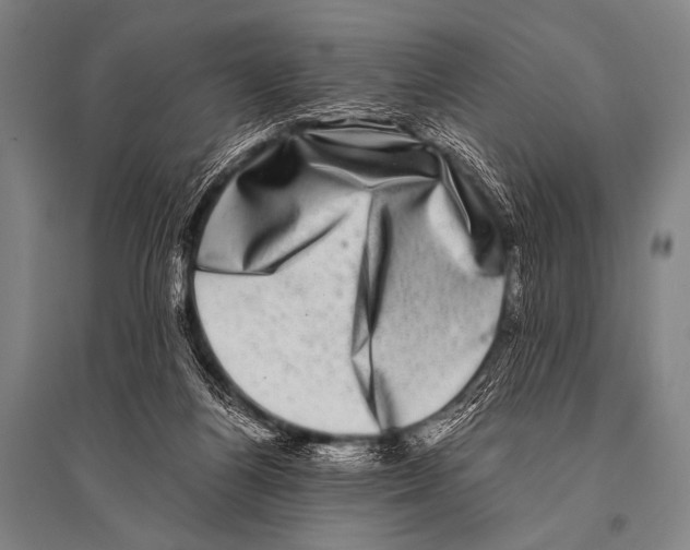 X0000094820164200712141653