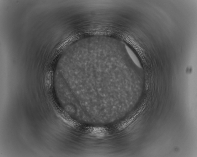 X0000094820165200712141653