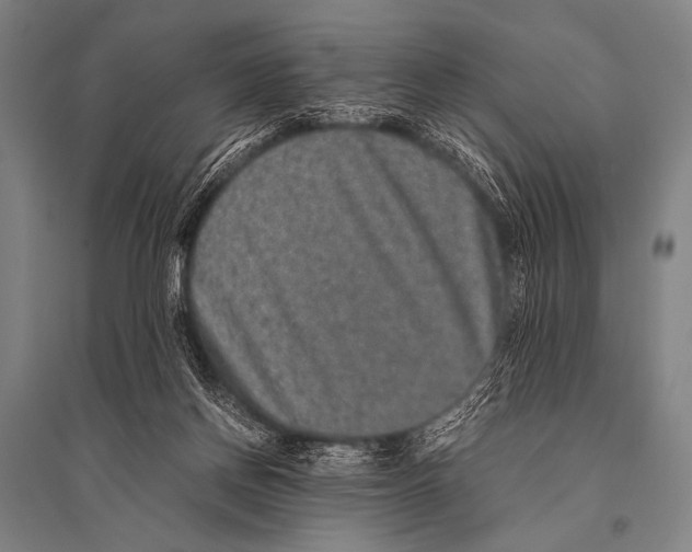 X0000094820166200712141653