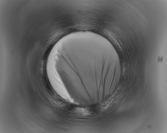 X0000094820167200712141653
