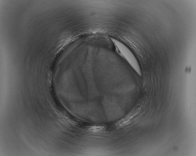 X0000094820168200712141653