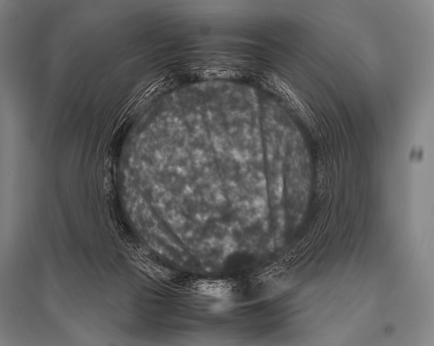 X0000094820169200712141653