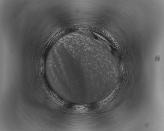 X0000094820170200712141653