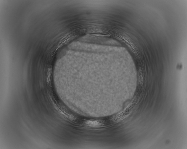 X0000094820171200712141653