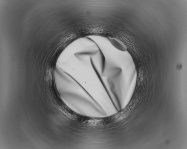 X0000094820172200712141653