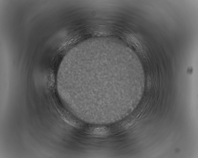 X0000094820173200712141653
