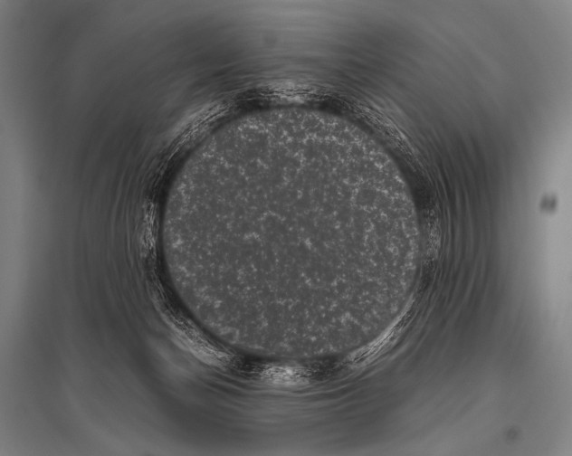 X0000094820174200712141653