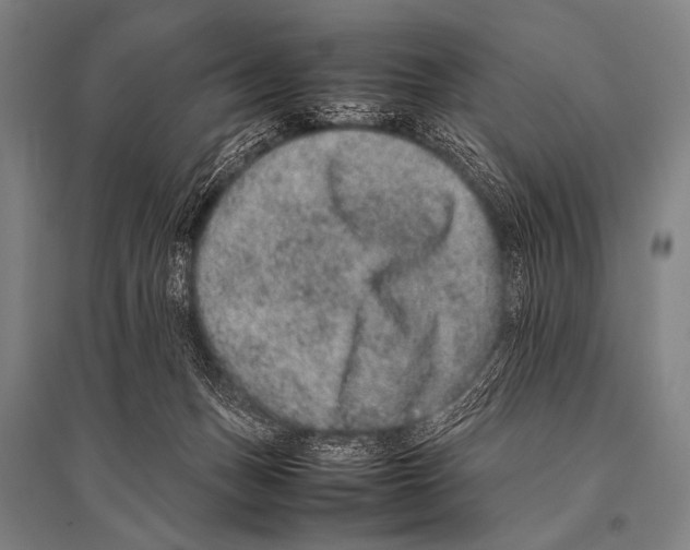X0000094820175200712141653