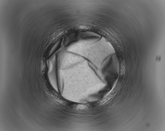 X0000094820176200712141653
