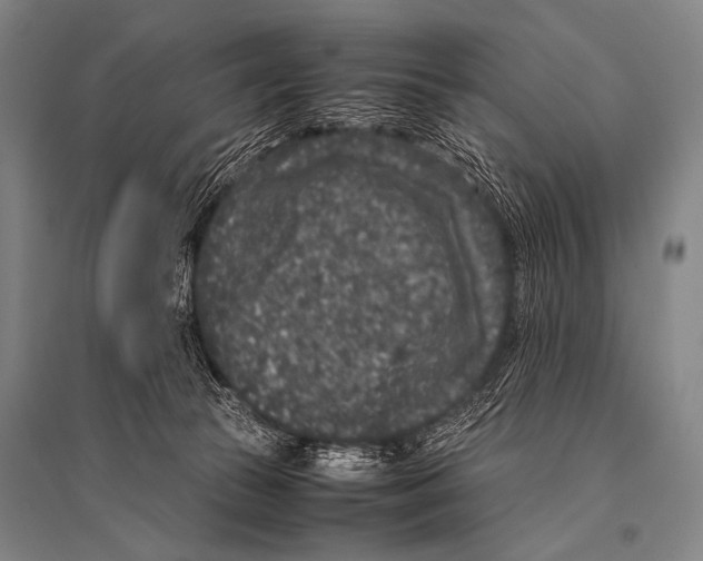 X0000094820177200712141653