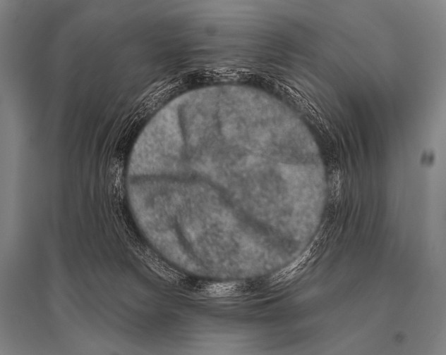 X0000094820178200712141653