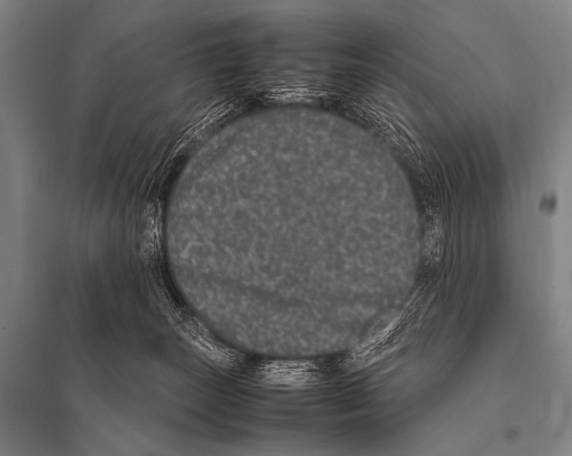 X0000094820179200712141653