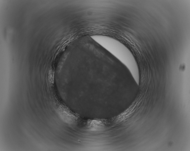 X0000094820180200712141653