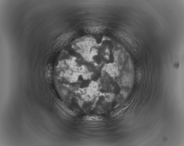 X0000094820181200712141653