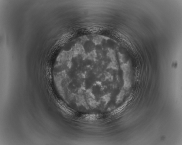 X0000094820182200712141653