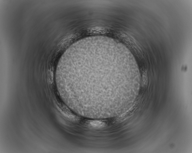 X0000094820183200712141653