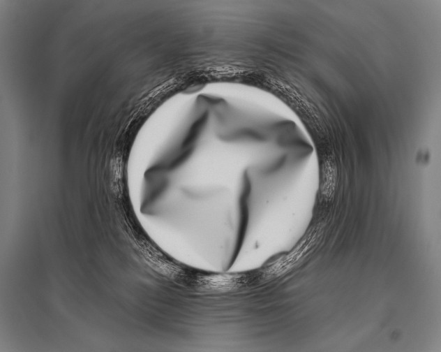 X0000094820184200712141653