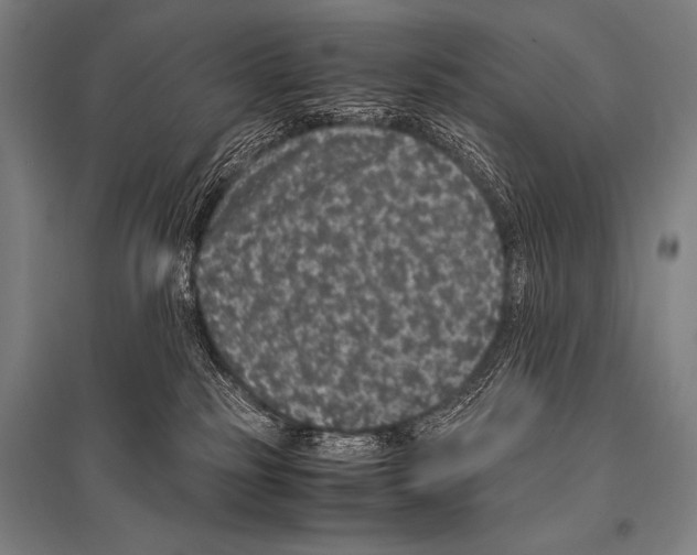 X0000094820185200712141653