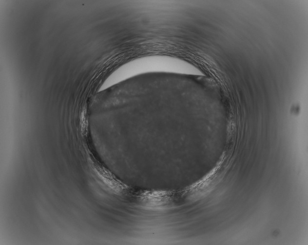 X0000094820186200712141653