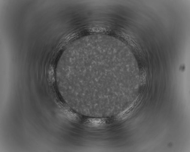 X0000094820187200712141653