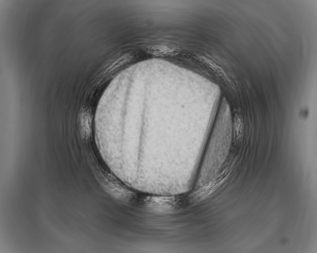 X0000094820188200712141653