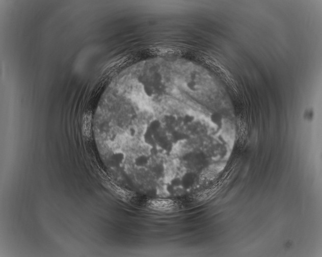 X0000094820189200712141653