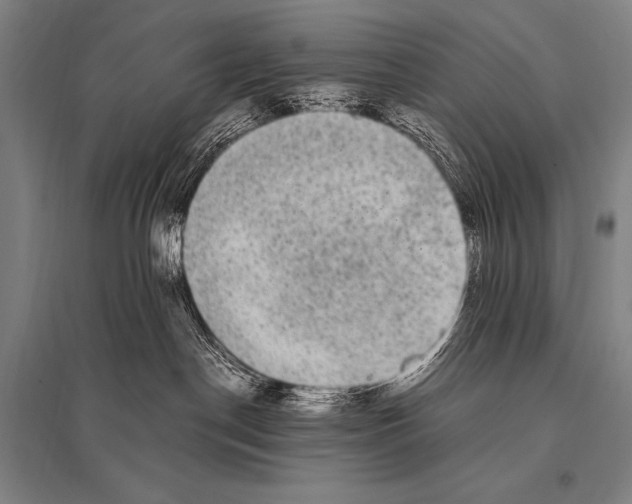 X0000094820190200712141653