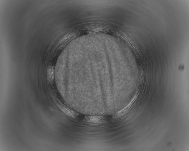 X0000094820191200712141653