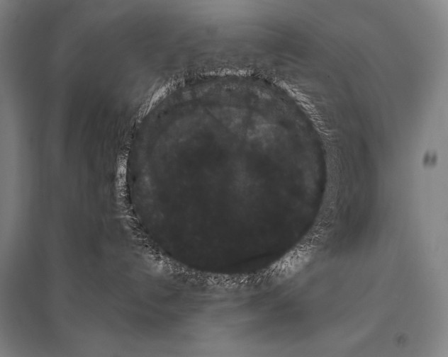 X0000094820192200712141653