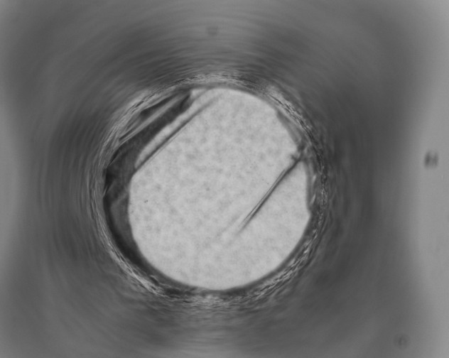 X0000094820193200712141652