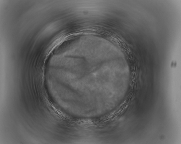 X0000094820194200712141652