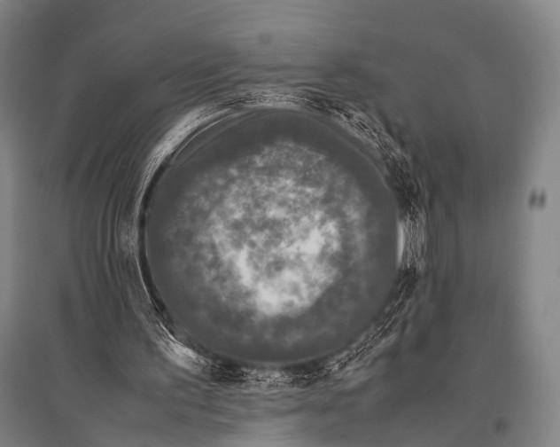 X0000094820195200712141652