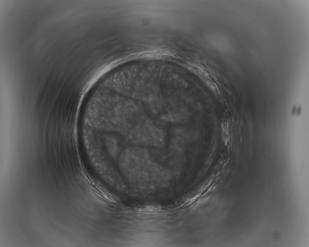 X0000094820196200712141652