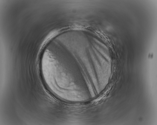 X0000094820197200712141652