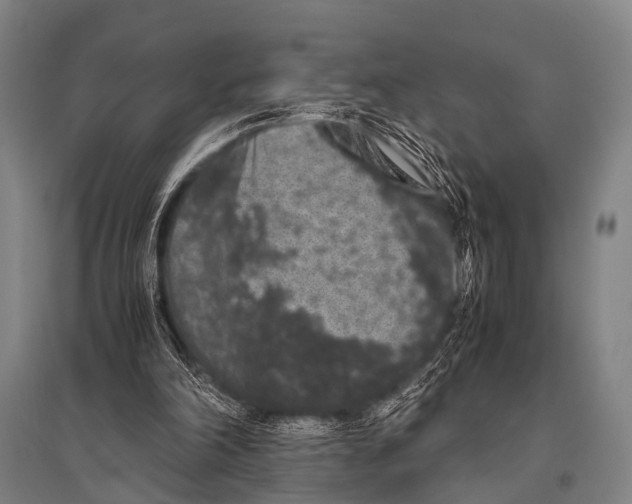 X0000094820198200712141652