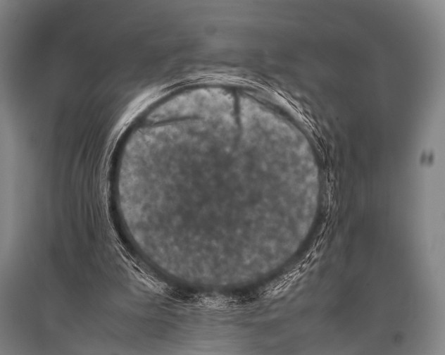 X0000094820199200712141652