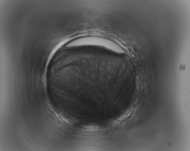 X0000094820200200712141652