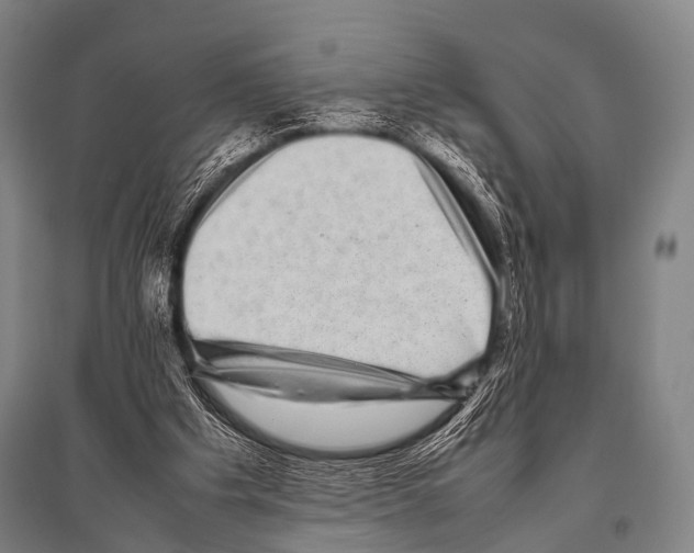 X0000094820201200712141652