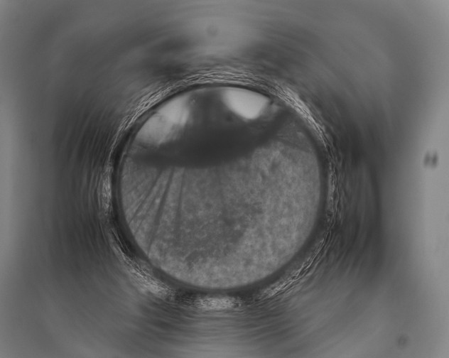X0000094820202200712141652