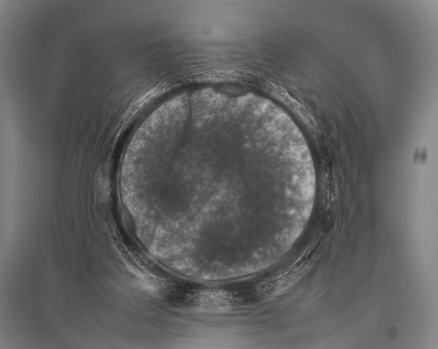 X0000094820203200712141652