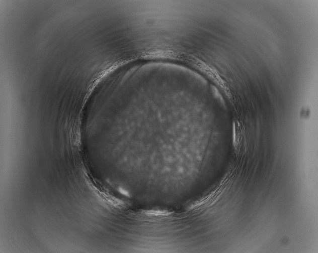 X0000094820204200712141652