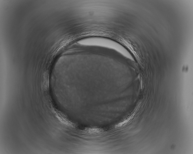 X0000094820205200712141652