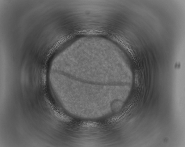 X0000094820206200712141652