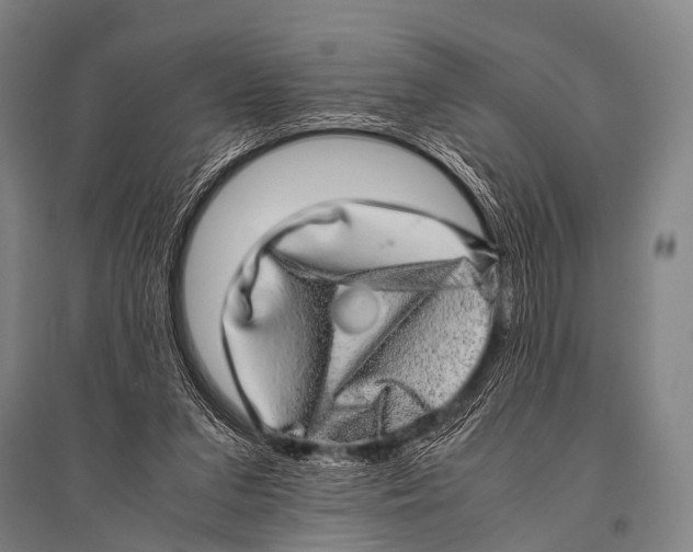 X0000094820207200712141652