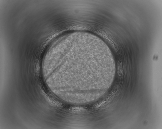 X0000094820208200712141652