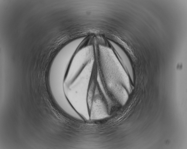 X0000094820209200712141652