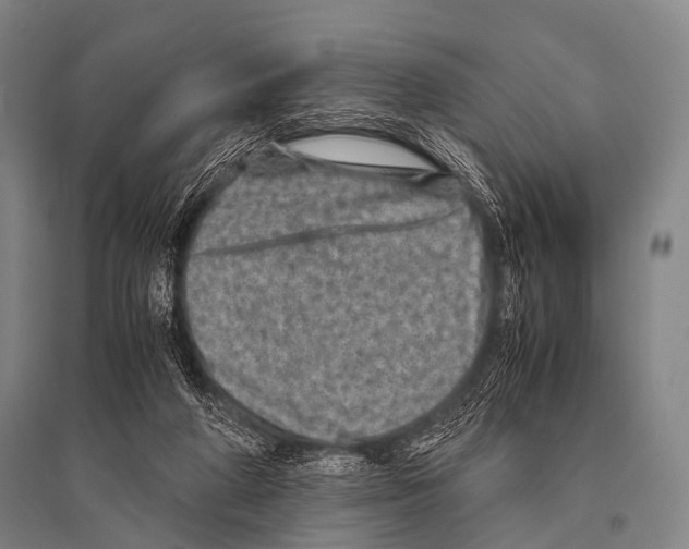 X0000094820210200712141652